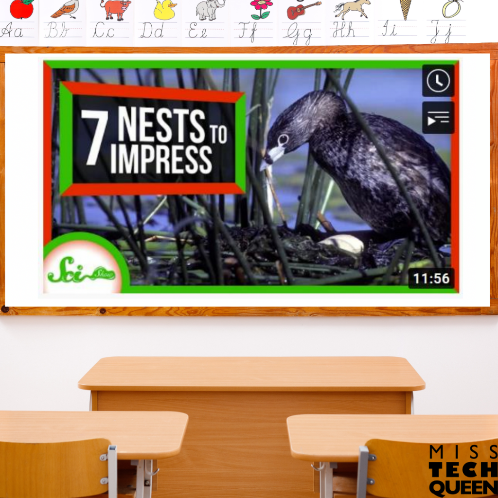 Begin your nest building STEM Earth Day activities with this Google Slideshow featuring an educational video all about birds and their nests.