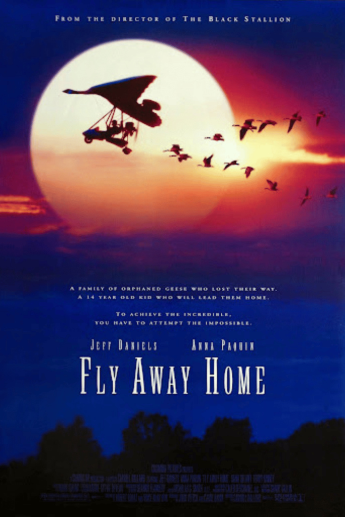 The movie Fly Away Home is a great example of the engineering design process in action.