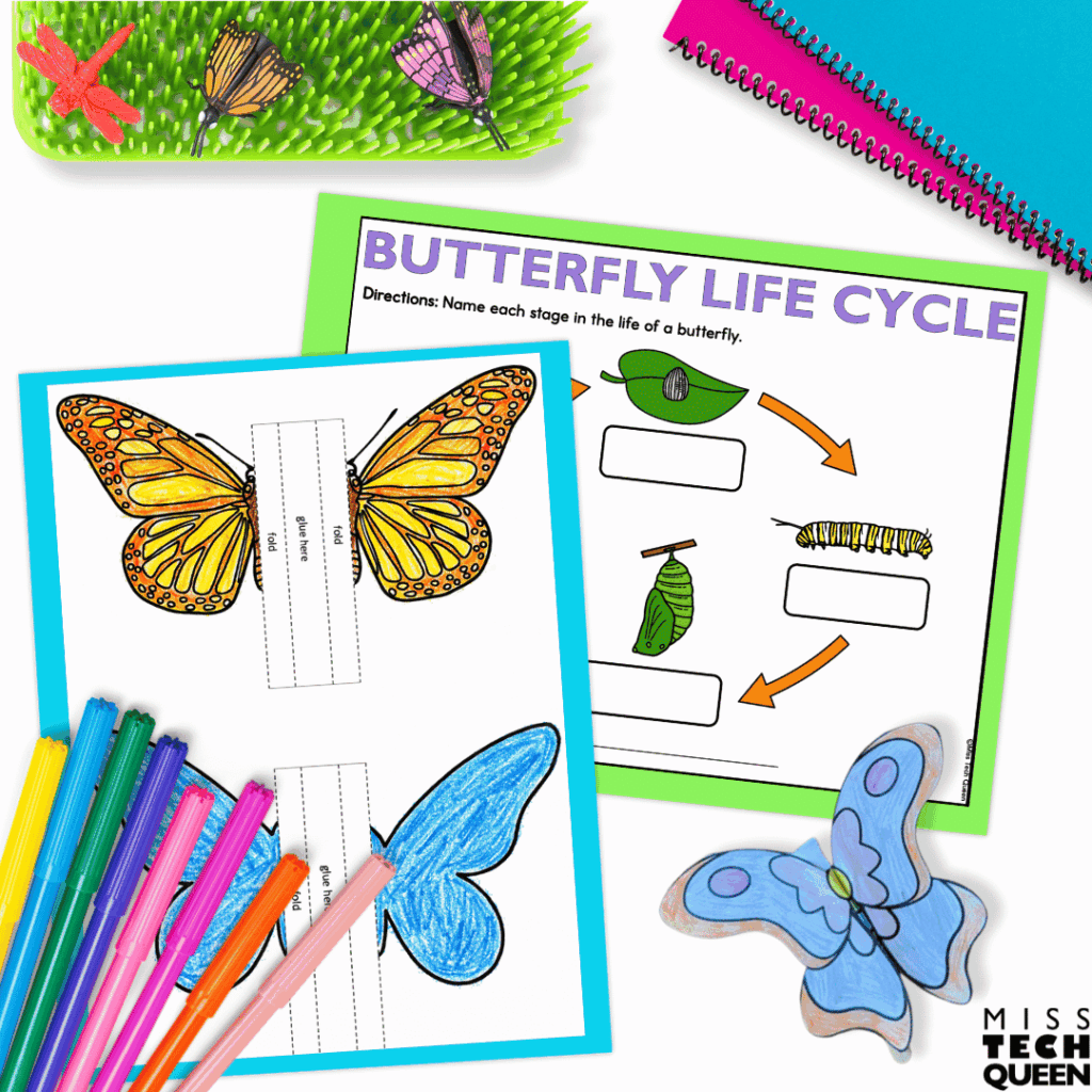 My Butterfly Life Cycle Craft will make a great addition to any existing spring STEM bulletin board ideas you may have or use. 