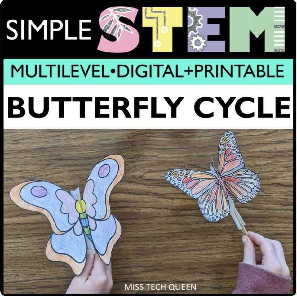 Add the Butterfly Life Cycle craft to your current STEM board.